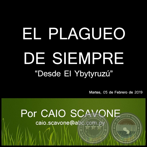 EL PLAGUEO DE SIEMPRE - Desde El Ybytyruzú - Por CAIO SCAVONE - Martes, 05 de Febrero de 2019